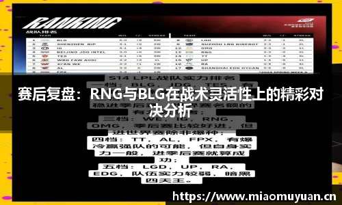 赛后复盘：RNG与BLG在战术灵活性上的精彩对决分析