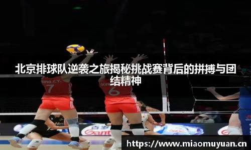 k1体育-十年品牌